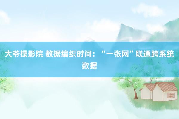 大爷操影院 数据编织时间：“一张网”联通跨系统数据