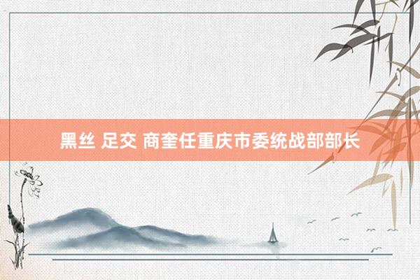 黑丝 足交 商奎任重庆市委统战部部长