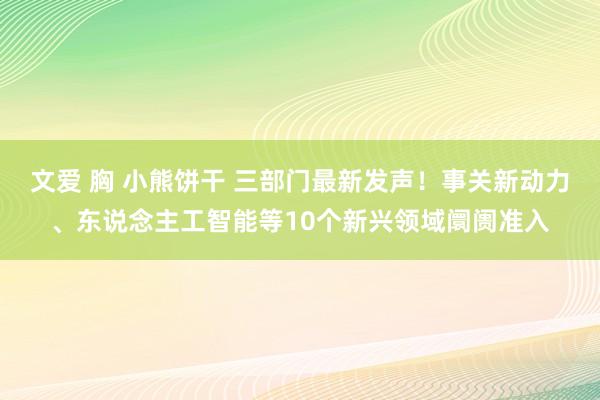 文爱 胸 小熊饼干 三部门最新发声！事关新动力、东说念主工智能等10个新兴领域阛阓准入