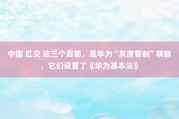 中国 肛交 这三个层面，是华为“灰度管制”精髓，它们设置了《华为基本法》