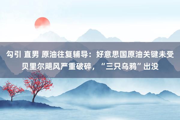 勾引 直男 原油往复辅导：好意思国原油关键未受贝里尔飓风严重破碎，“三只乌鸦”出没