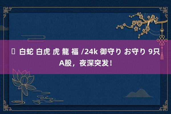 ✨白蛇 白虎 虎 龍 福 /24k 御守り お守り 9只A股，夜深突发！
