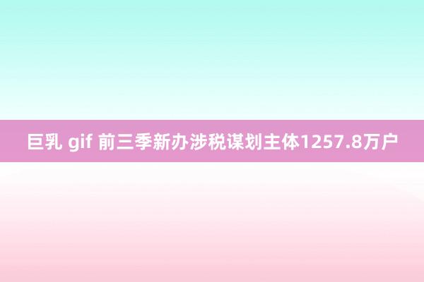 巨乳 gif 前三季新办涉税谋划主体1257.8万户